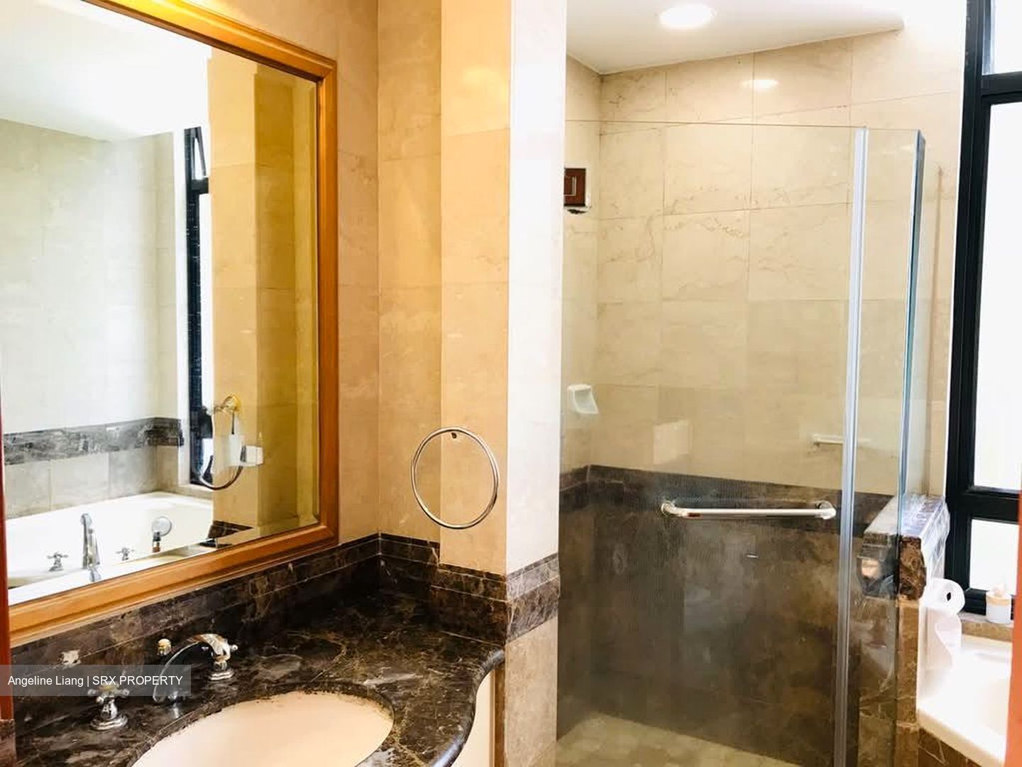 The Sterling (D21), Condominium #571112741